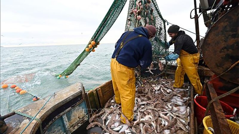 EU chấm dứt thỏa thuận đánh bắt cá với Senegal