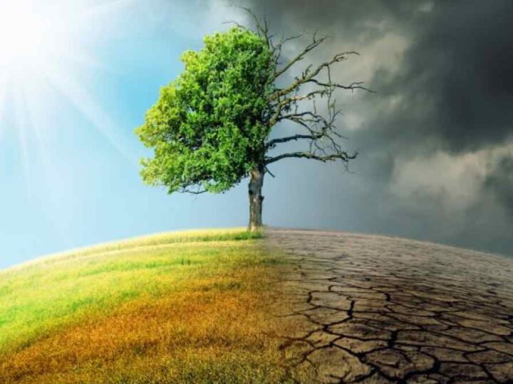 Anh nghiên cứu thành lập trung tâm giải quyết tác động của biến đổi khí hậu đối với sức khỏe