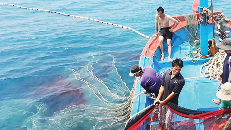 Bà Rịa-Vũng Tàu rà soát thuế, lệ phí đối với tàu cá ‘3 không’