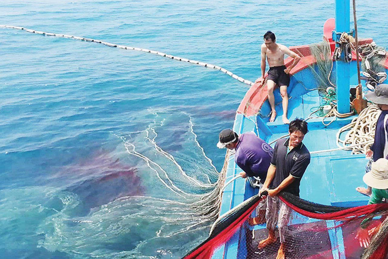 Bà Rịa-Vũng Tàu rà soát thuế, lệ phí đối với tàu cá ‘3 không’