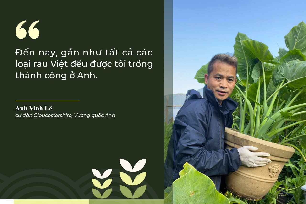 Anh Vinh Lê với câu chuyện làm vườn và nghề trồng rau Việt ở Vương quốc Anh