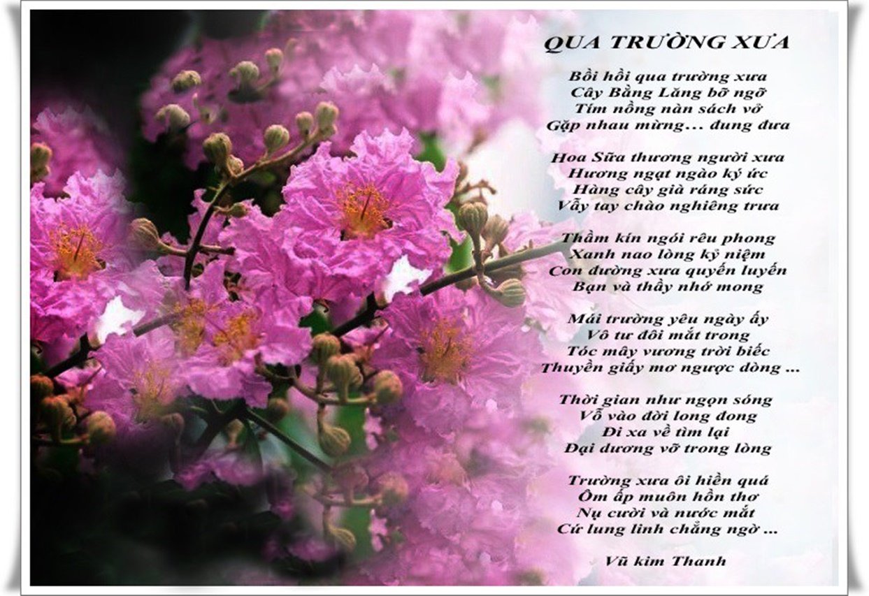 Qua trường xưa