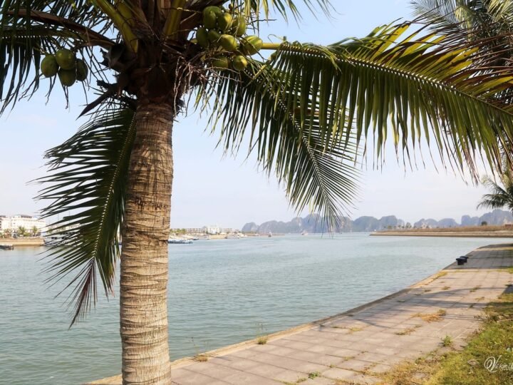 Tình thơ của người nghệ sĩ