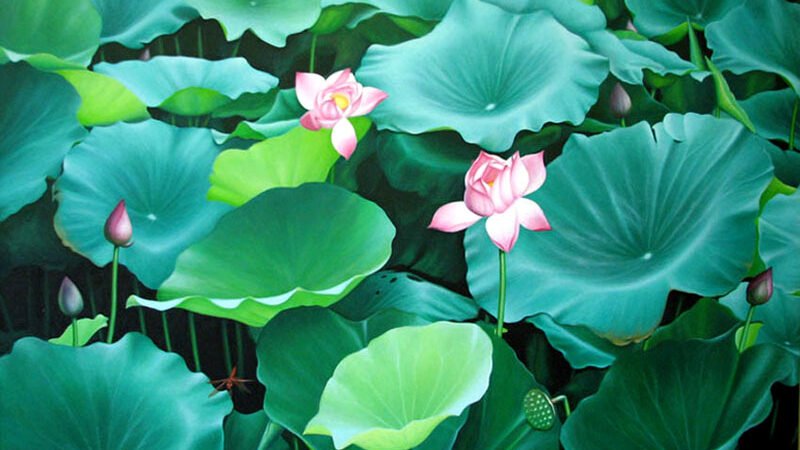 Hoa Sen