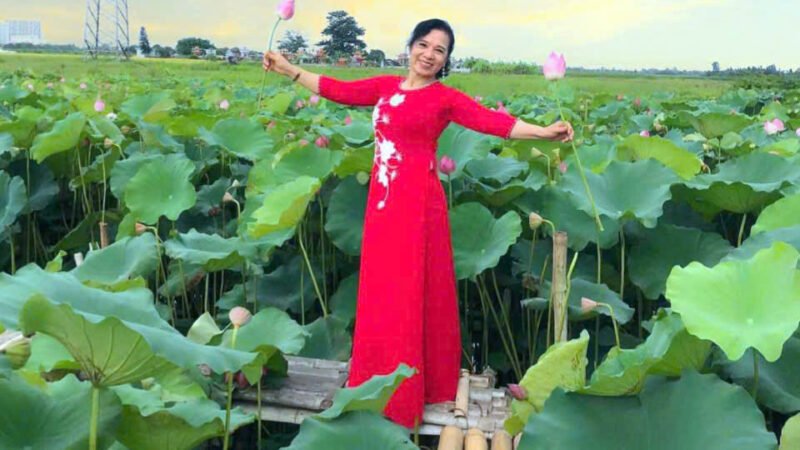 Nhặt sen
