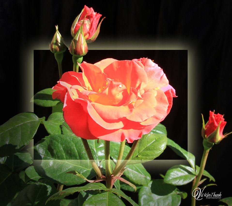 Công ơn thày cô trước