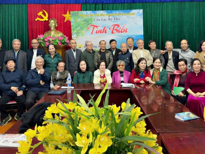 Tình Biển hoa Phượng đỏ