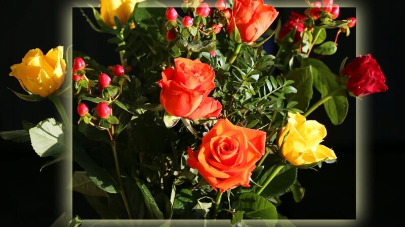 Mùa xuân họp bạn