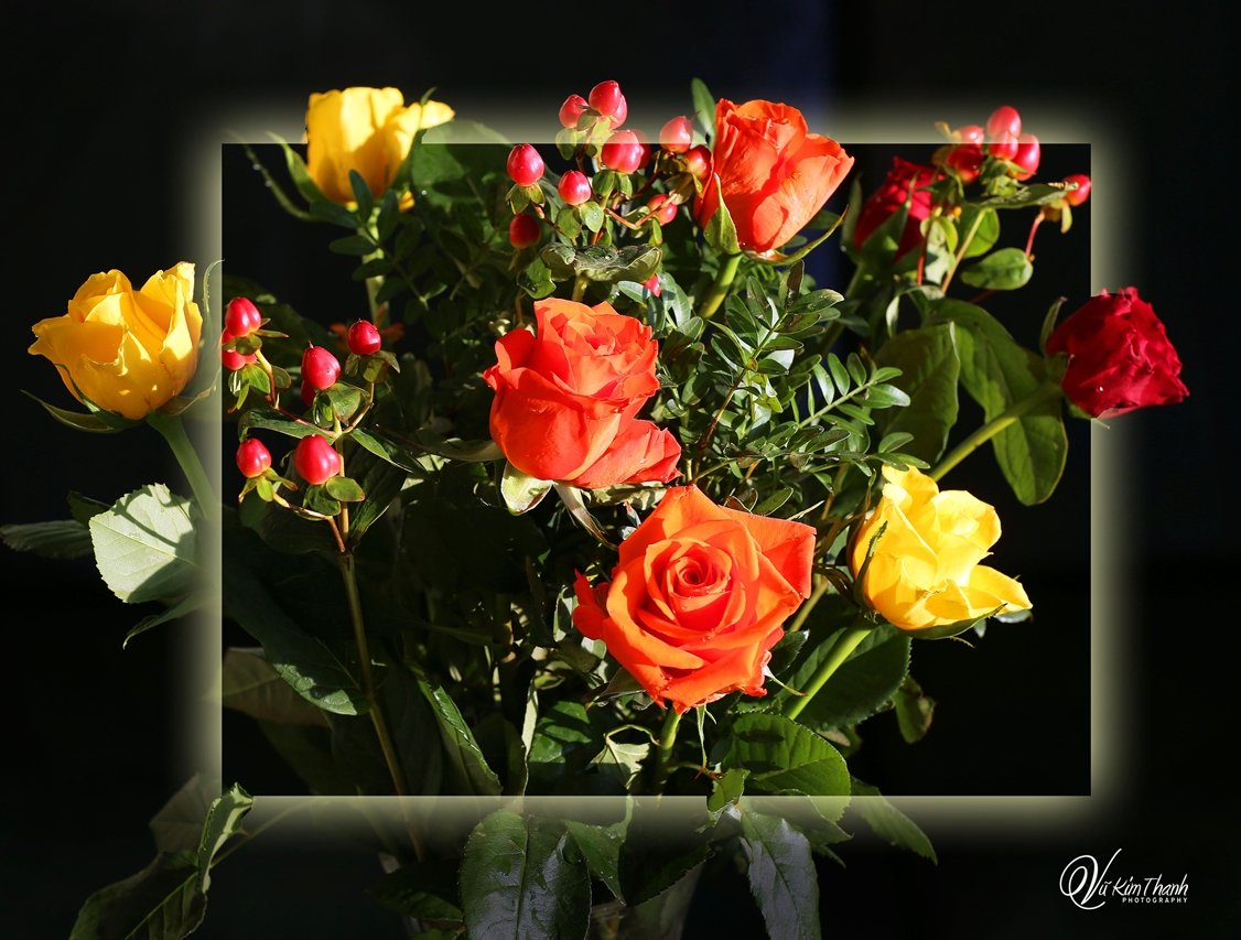 Mùa xuân họp bạn