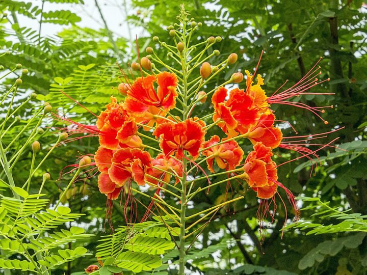 Tháng tư không thể nhạt nhòa