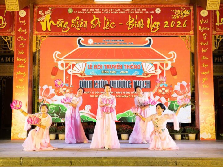 Phong lan giữa trời Quy Nhơn tỏa sáng