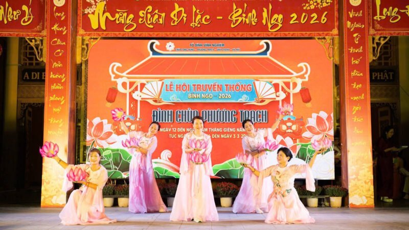 Phong lan giữa trời Quy Nhơn tỏa sáng