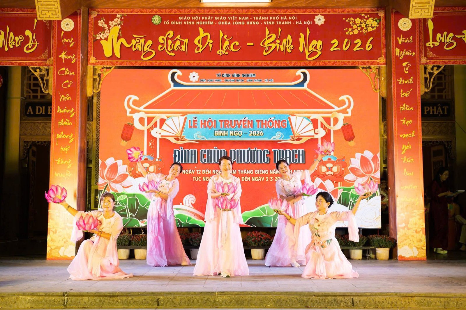 Phong lan giữa trời Quy Nhơn tỏa sáng