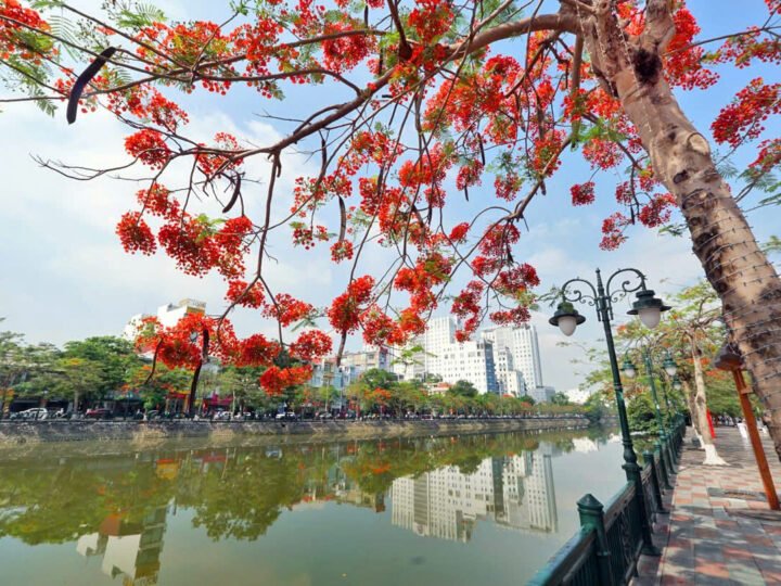 Nhịp phách tháng tư