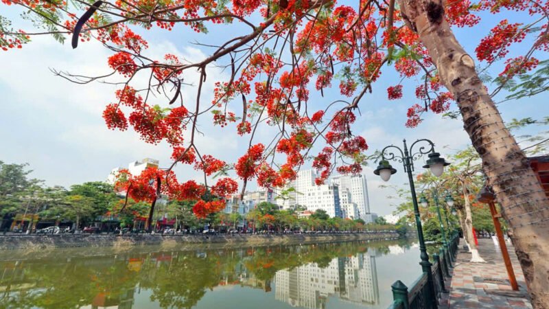 Nhịp phách tháng tư