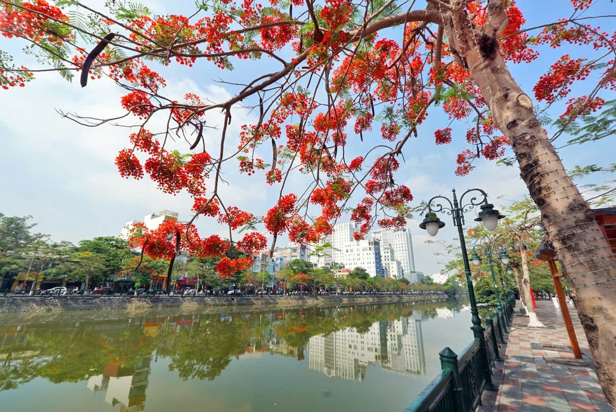 Nhịp phách tháng tư