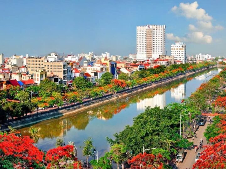 Anh sẽ về chắp đôi mảnh hồn hoang