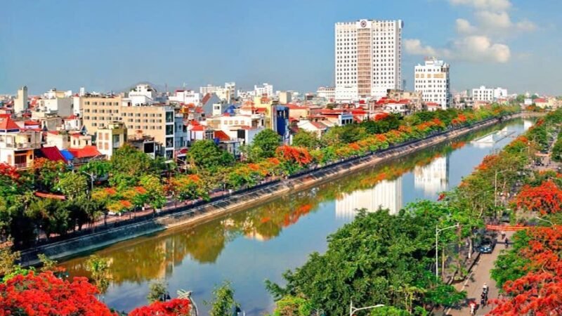 Anh sẽ về chắp đôi mảnh hồn hoang