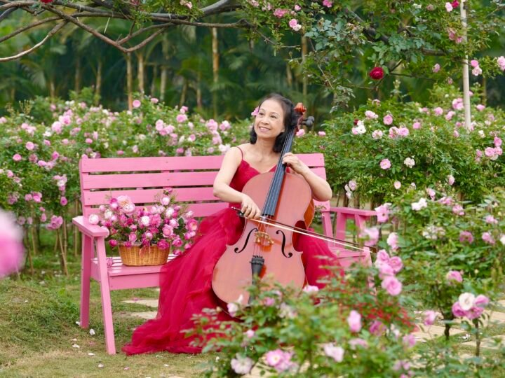 Đàn trong vườn nắng