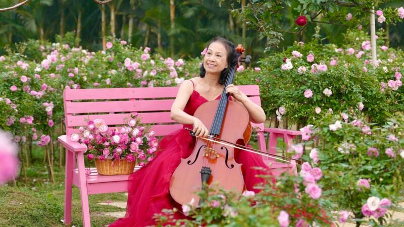 Đàn trong vườn nắng