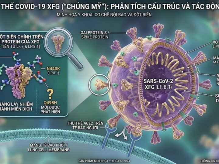 Bạn có cần lo lắng về “American Covid” hay chủng XFG/Stratus?