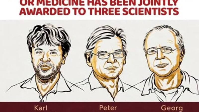 Các giải Nobel năm nay thuộc về những ai?