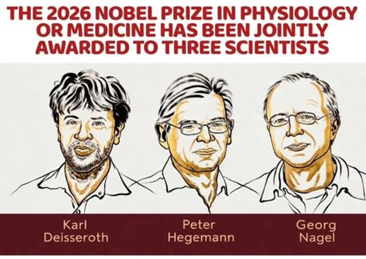 Các giải Nobel năm nay thuộc về những ai?